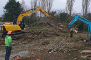 site clearance icon